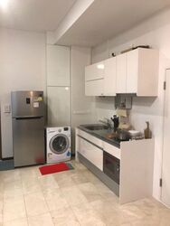 Ritz @ Farrer (D8), Apartment #466428221